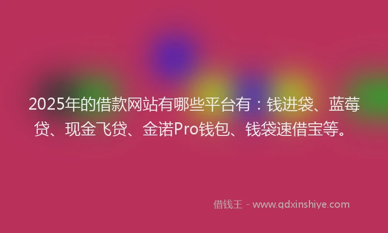 2025年的借款网站有哪些平台有：钱进袋、蓝莓贷、现金飞贷、金诺Pro钱包、钱袋速借宝等。