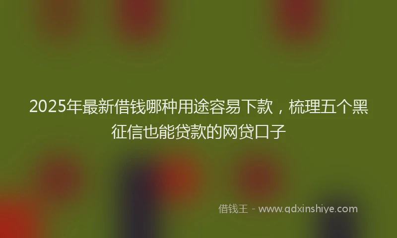 2025年最新借钱哪种用途容易下款，梳理五个黑征信也能贷款的网贷口子
