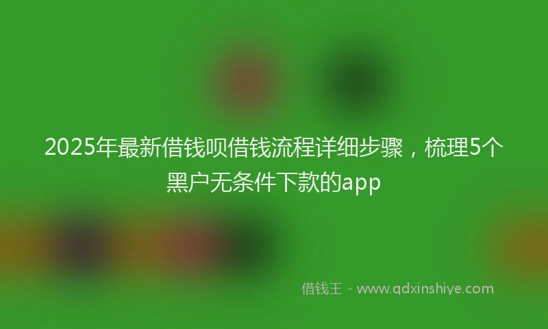 2025年最新借钱呗借钱流程详细步骤，梳理5个黑户无条件下款的app