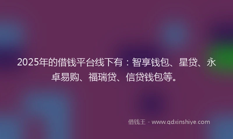 2025年的借钱平台线下有：智享钱包、星贷、永卓易购、福瑞贷、信贷钱包等。