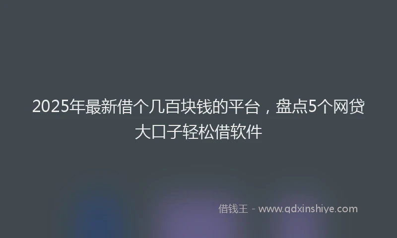 2025年最新借个几百块钱的平台，盘点5个网贷大口子轻松借软件