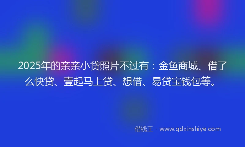 2025年的亲亲小贷照片不过有：金鱼商城、借了么快贷、壹起马上贷、想借、易贷宝钱包等。