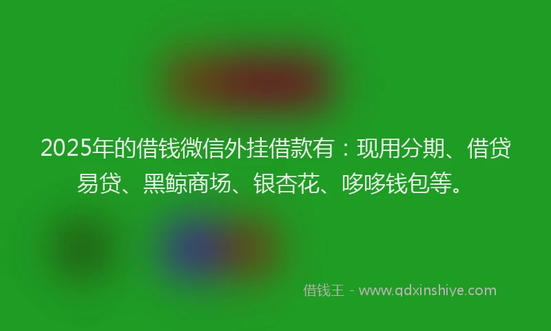 2025年的借钱微信外挂借款有：现用分期、借贷易贷、黑鲸商场、银杏花、哆哆钱包等。