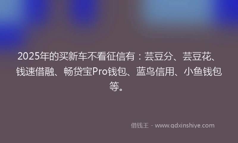 2025年的买新车不看征信有：芸豆分、芸豆花、钱速借融、畅贷宝Pro钱包、蓝鸟信用、小鱼钱包等。