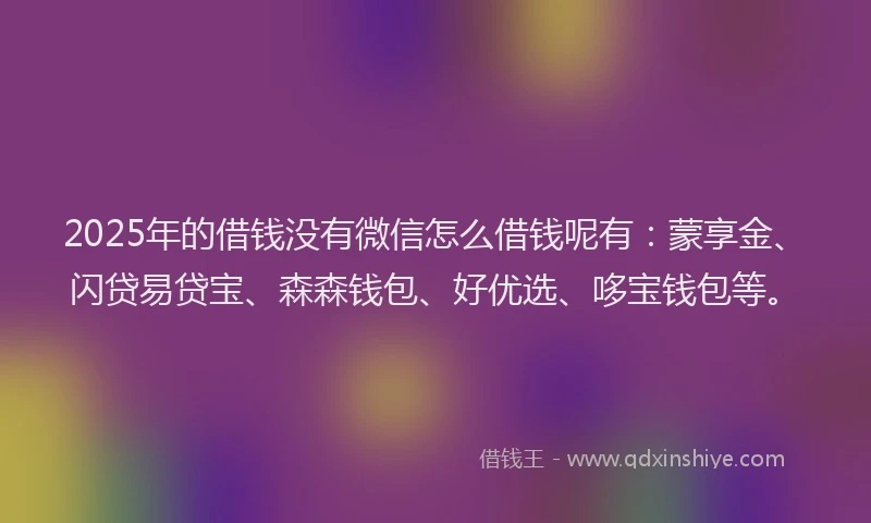 2025年的借钱没有微信怎么借钱呢有：蒙享金、闪贷易贷宝、森森钱包、好优选、哆宝钱包等。