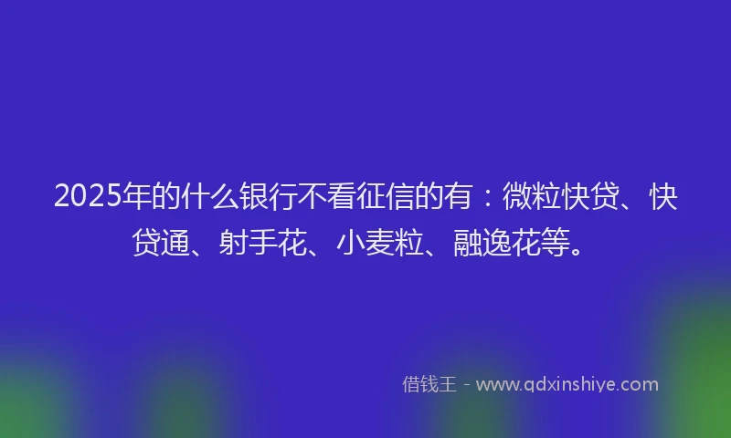 2025年的什么银行不看征信的有：微粒快贷、快贷通、射手花、小麦粒、融逸花等。
