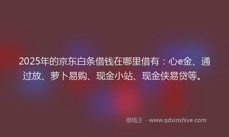 2025年的京东白条借钱在哪里借有：心e金、通过放、萝卜易购、现金小站、现金侠易贷等。