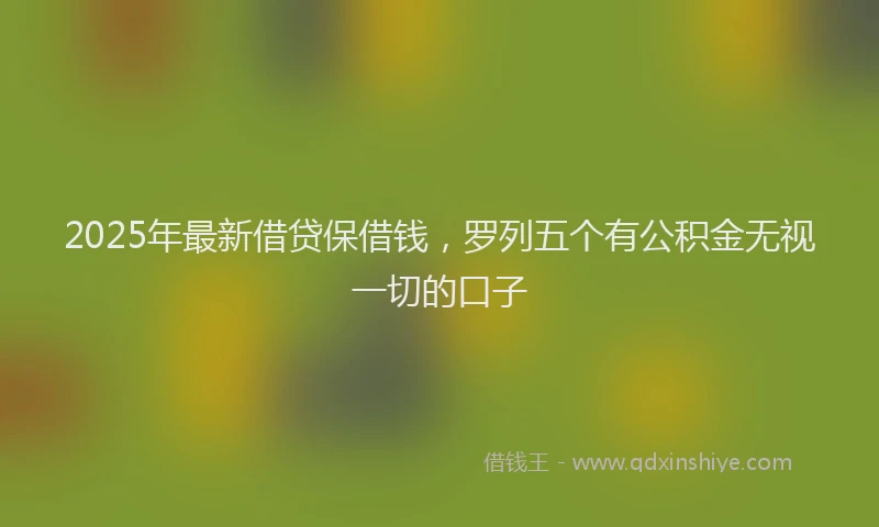 2025年最新借贷保借钱，罗列五个有公积金无视一切的口子