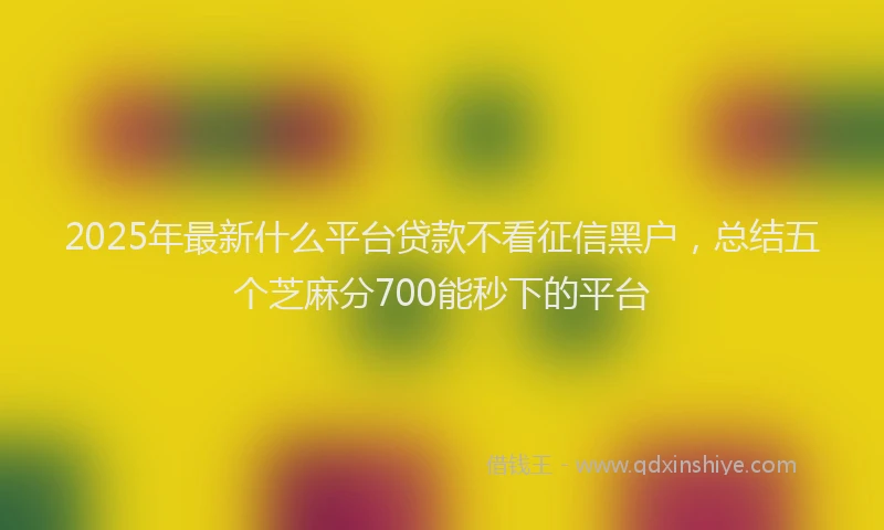 2025年最新什么平台贷款不看征信黑户，总结五个芝麻分700能秒下的平台