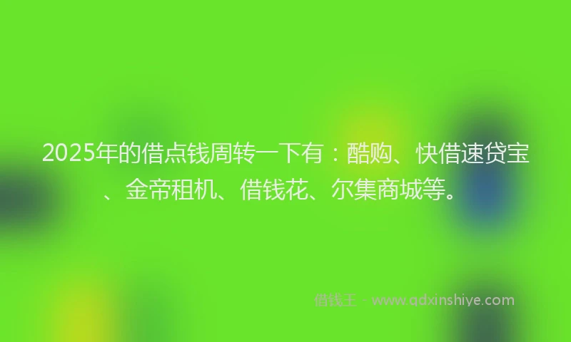 2025年的借点钱周转一下有：酷购、快借速贷宝、金帝租机、借钱花、尔集商城等。