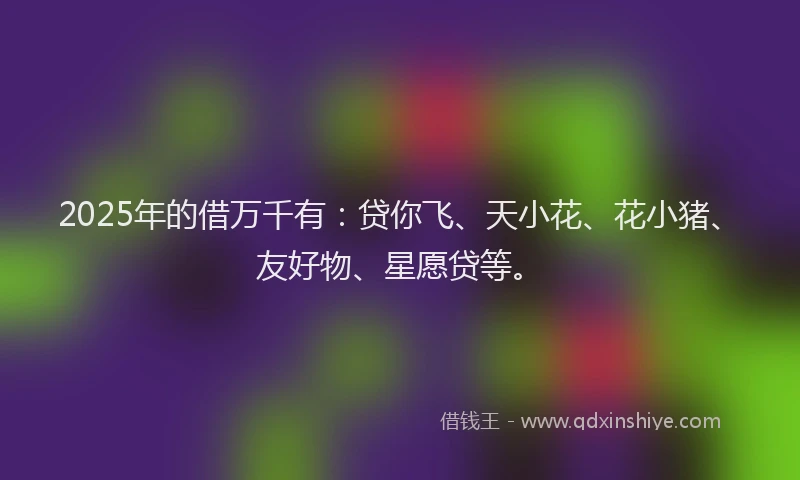 2025年的借万千有：贷你飞、天小花、花小猪、友好物、星愿贷等。