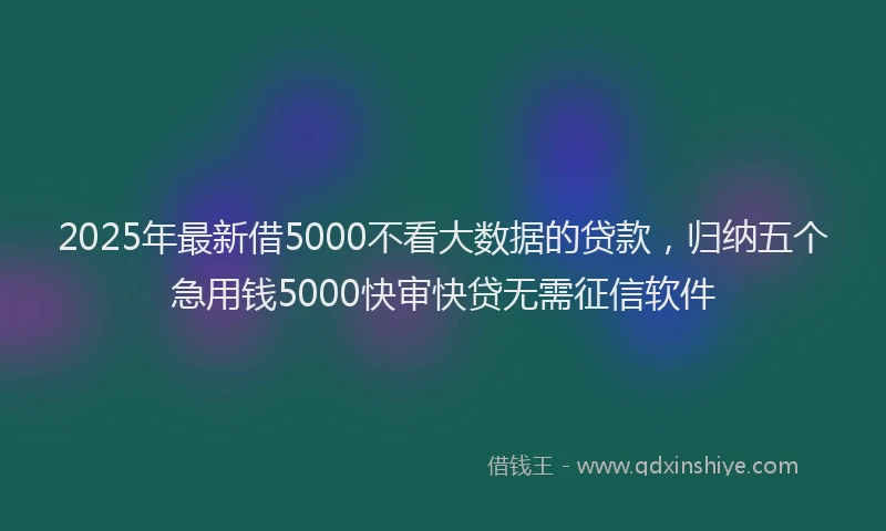 2025年最新借5000不看大数据的贷款，归纳五个急用钱5000快审快贷无需征信软件