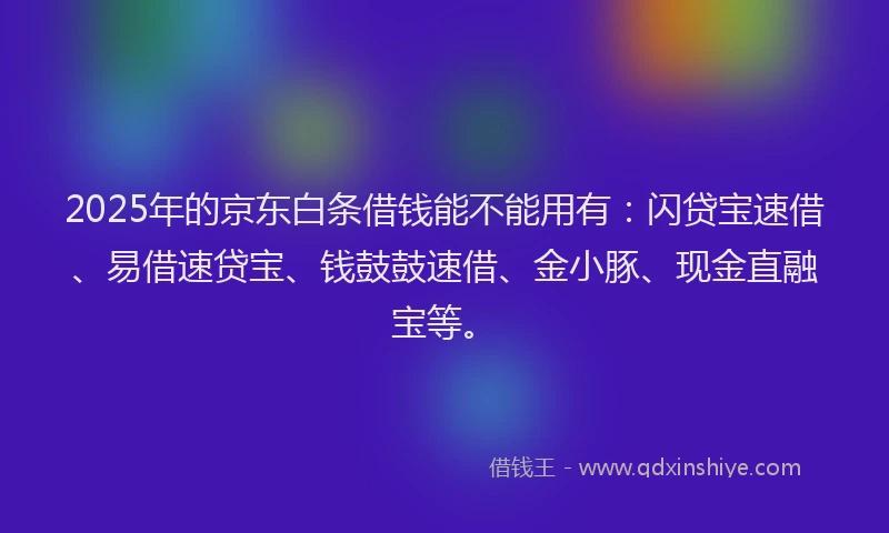 2025年的京东白条借钱能不能用有：闪贷宝速借、易借速贷宝、钱鼓鼓速借、金小豚、现金直融宝等。