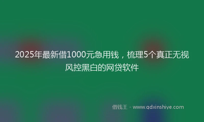 2025年最新借1000元急用钱，梳理5个真正无视风控黑白的网贷软件