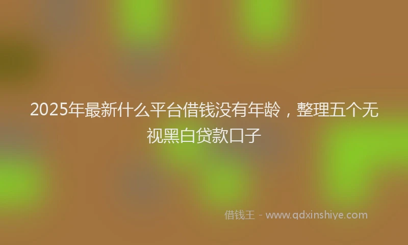2025年最新什么平台借钱没有年龄，整理五个无视黑白贷款口子