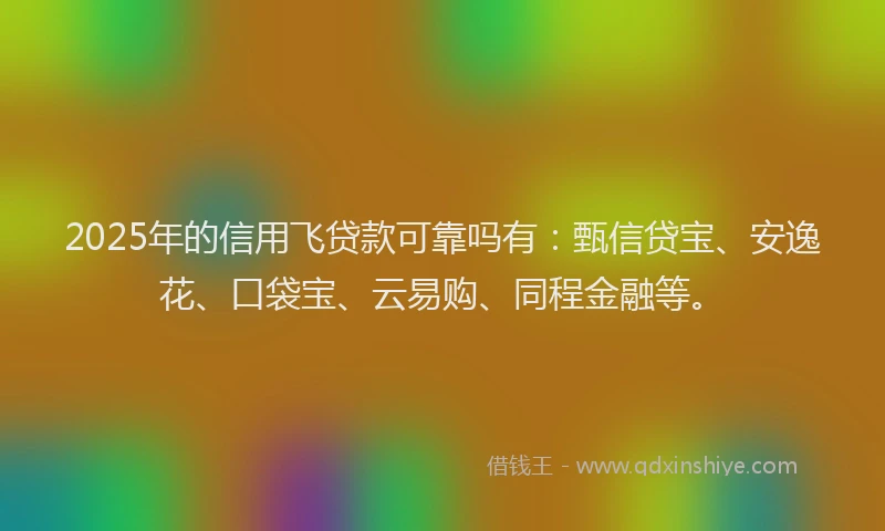 2025年的信用飞贷款可靠吗有：甄信贷宝、安逸花、口袋宝、云易购、同程金融等。