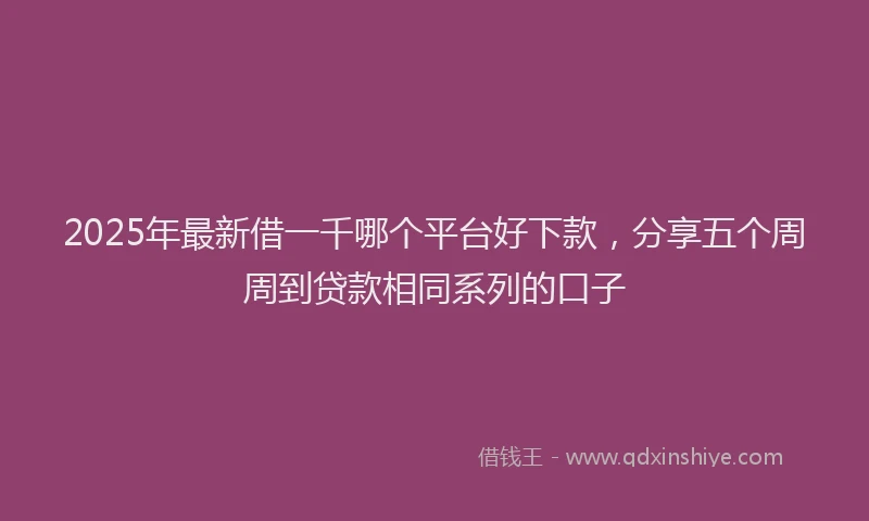 2025年最新借一千哪个平台好下款，分享五个周周到贷款相同系列的口子