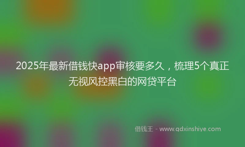 2025年最新借钱快app审核要多久，梳理5个真正无视风控黑白的网贷平台