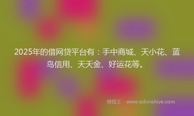 2025年的借网贷平台有：手中商城、天小花、蓝鸟信用、天天金、好运花等。
