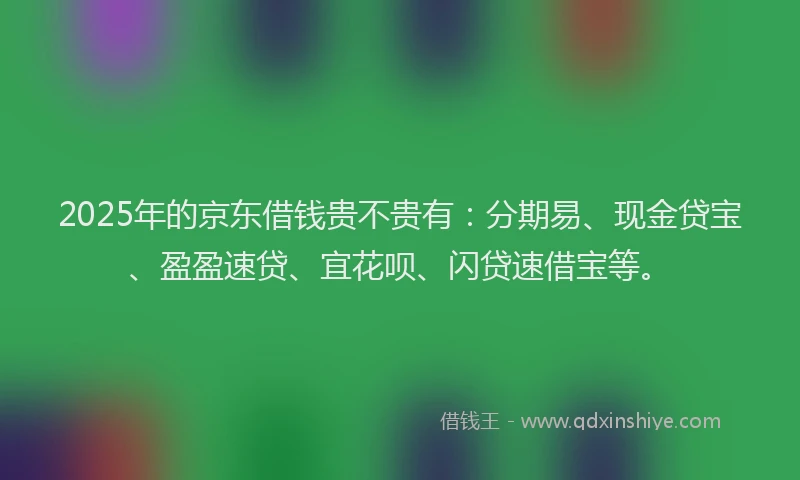 2025年的京东借钱贵不贵有：分期易、现金贷宝、盈盈速贷、宜花呗、闪贷速借宝等。