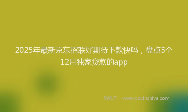 2025年最新京东招联好期待下款快吗，盘点5个12月独家贷款的app