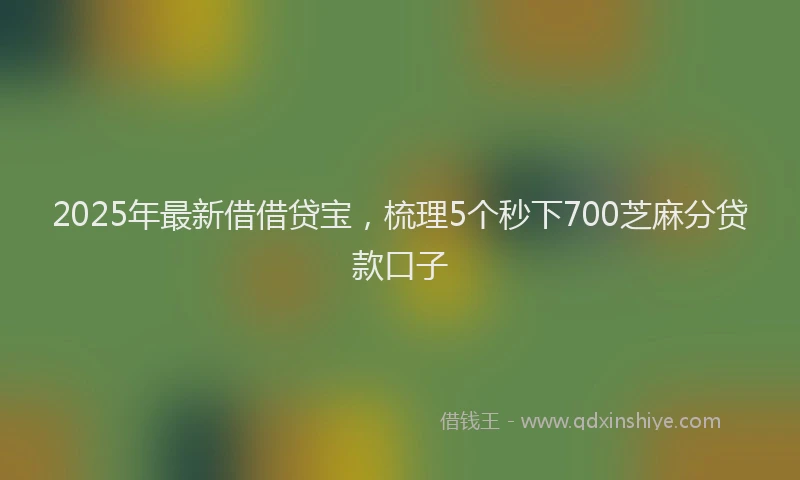 2025年最新借借贷宝，梳理5个秒下700芝麻分贷款口子
