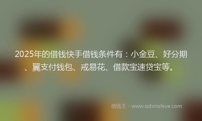 2025年的借钱快手借钱条件有：小金豆、好分期、翼支付钱包、戒易花、借款宝速贷宝等。