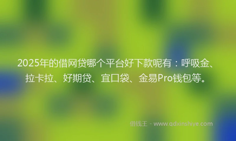 2025年的借网贷哪个平台好下款呢有：呼吸金、拉卡拉、好期贷、宜口袋、金易Pro钱包等。