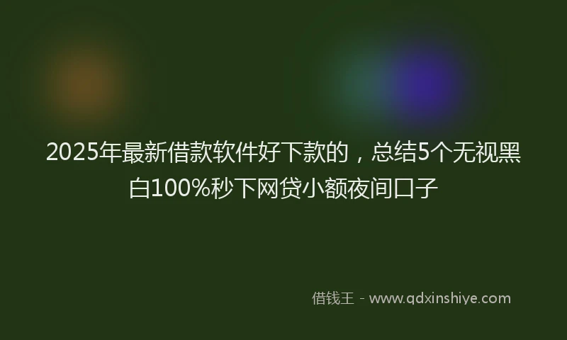 2025年最新借款软件好下款的，总结5个无视黑白100%秒下网贷小额夜间口子