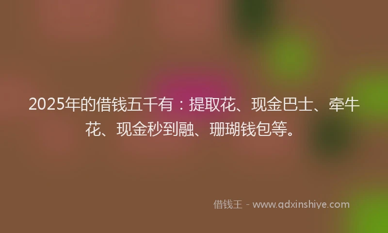 2025年的借钱五千有：提取花、现金巴士、牵牛花、现金秒到融、珊瑚钱包等。