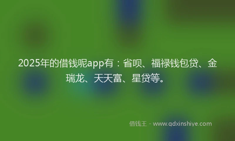 2025年的借钱呢app有：省呗、福禄钱包贷、金瑞龙、天天富、星贷等。