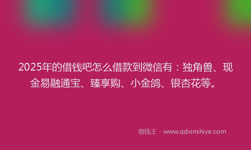 2025年的借钱吧怎么借款到微信有：独角兽、现金易融通宝、臻享购、小金鸽、银杏花等。