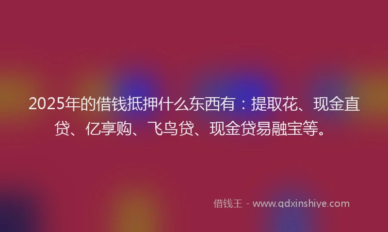 2025年的借钱抵押什么东西有：提取花、现金直贷、亿享购、飞鸟贷、现金贷易融宝等。