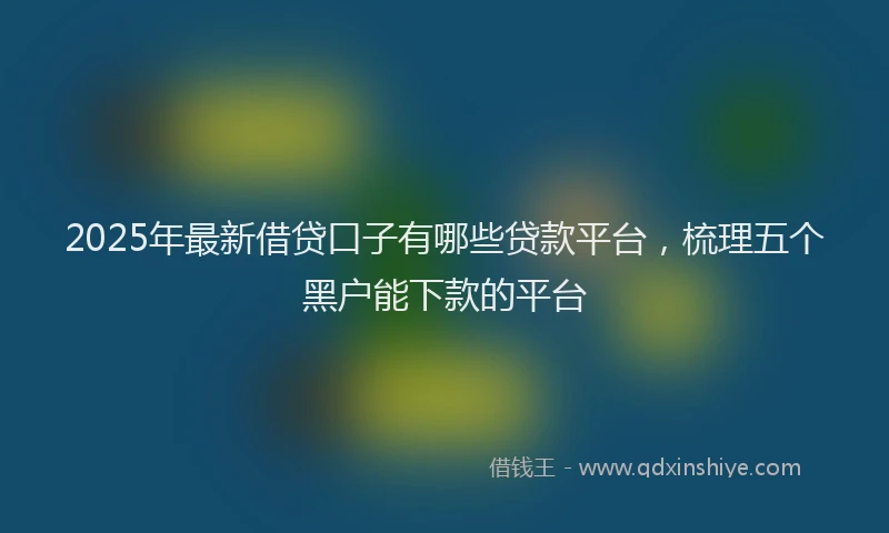 2025年最新借贷口子有哪些贷款平台，梳理五个黑户能下款的平台