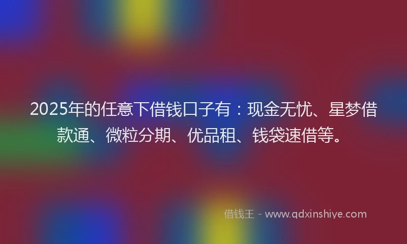 2025年的任意下借钱口子有：现金无忧、星梦借款通、微粒分期、优品租、钱袋速借等。