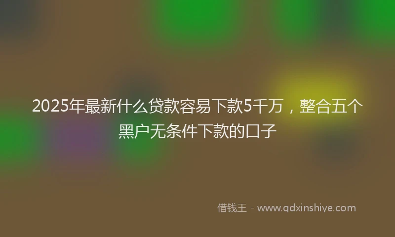 2025年最新什么贷款容易下款5千万，整合五个黑户无条件下款的口子