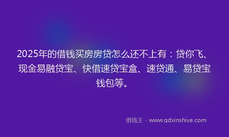 2025年的借钱买房房贷怎么还不上有：贷你飞、现金易融贷宝、快借速贷宝盒、速贷通、易贷宝钱包等。
