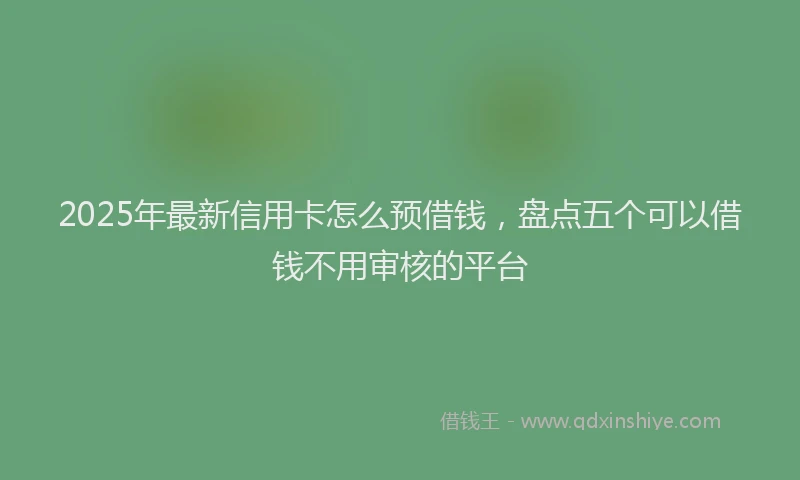 2025年最新信用卡怎么预借钱，盘点五个可以借钱不用审核的平台