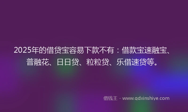 2025年的借贷宝容易下款不有：借款宝速融宝、普融花、日日贷、粒粒贷、乐借速贷等。