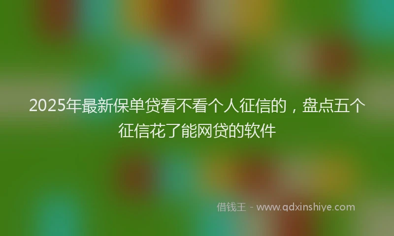 2025年最新保单贷看不看个人征信的，盘点五个征信花了能网贷的软件