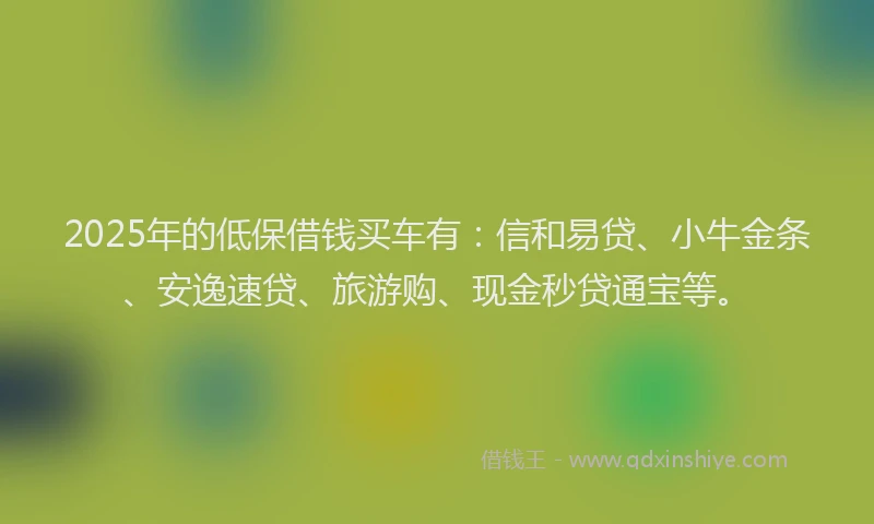 2025年的低保借钱买车有：信和易贷、小牛金条、安逸速贷、旅游购、现金秒贷通宝等。
