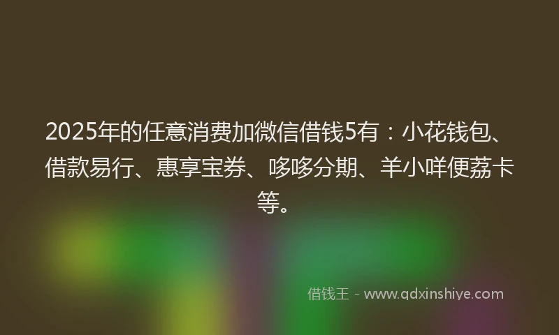 2025年的任意消费加微信借钱5有：小花钱包、借款易行、惠享宝券、哆哆分期、羊小咩便荔卡等。