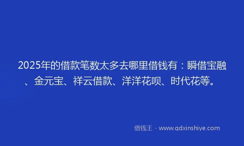 2025年的借款笔数太多去哪里借钱有：瞬借宝融、金元宝、祥云借款、洋洋花呗、时代花等。