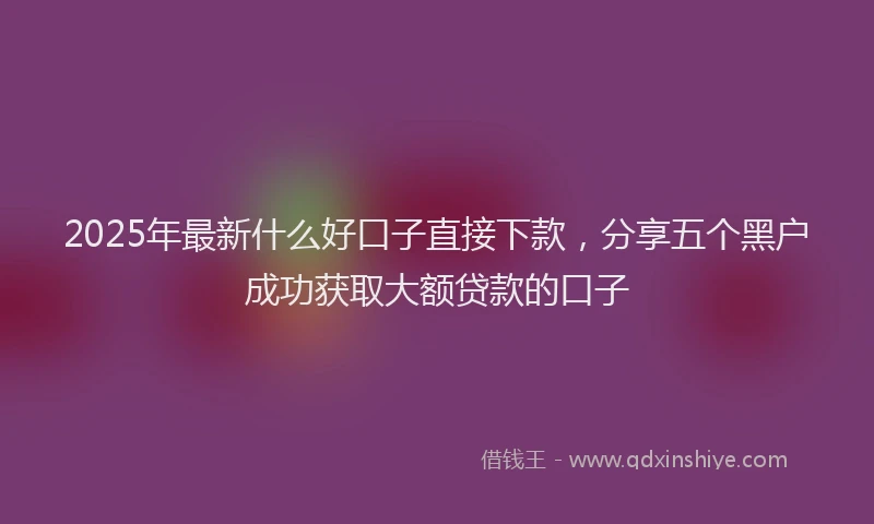 2025年最新什么好口子直接下款，分享五个黑户成功获取大额贷款的口子
