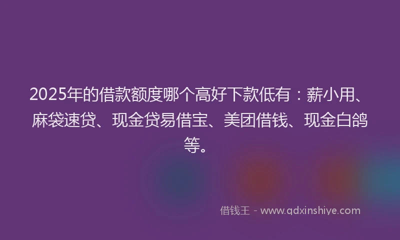 2025年的借款额度哪个高好下款低有：薪小用、麻袋速贷、现金贷易借宝、美团借钱、现金白鸽等。