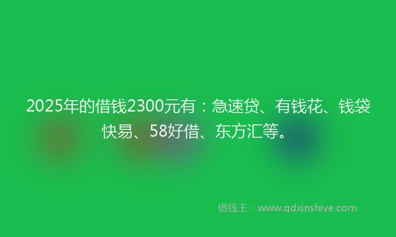 2025年的借钱2300元有：急速贷、有钱花、钱袋快易、58好借、东方汇等。