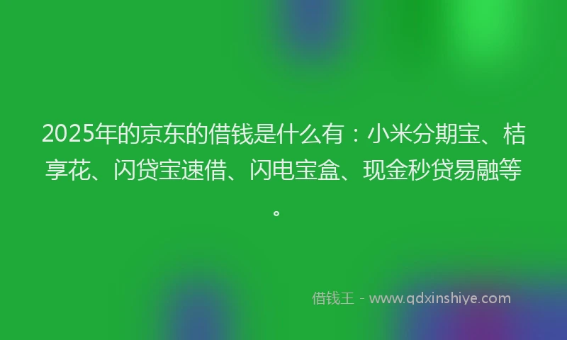 2025年的京东的借钱是什么有：小米分期宝、桔享花、闪贷宝速借、闪电宝盒、现金秒贷易融等。