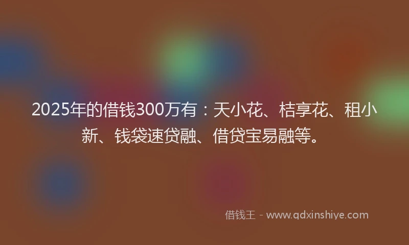 2025年的借钱300万有：天小花、桔享花、租小新、钱袋速贷融、借贷宝易融等。