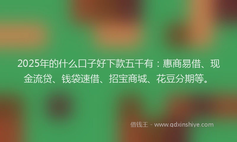 2025年的什么口子好下款五千有：惠商易借、现金流贷、钱袋速借、招宝商城、花豆分期等。