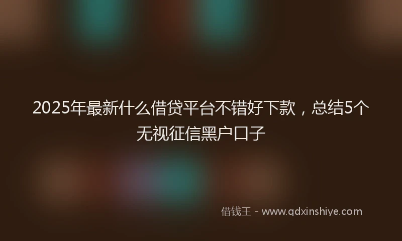 2025年最新什么借贷平台不错好下款，总结5个无视征信黑户口子